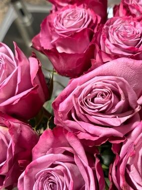 Meet your Posher, Carole